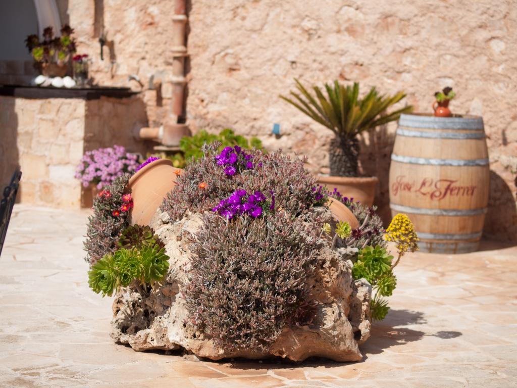 Agroturismo S Hort De Can Carrio Ag226 سي سالينيس المظهر الخارجي الصورة